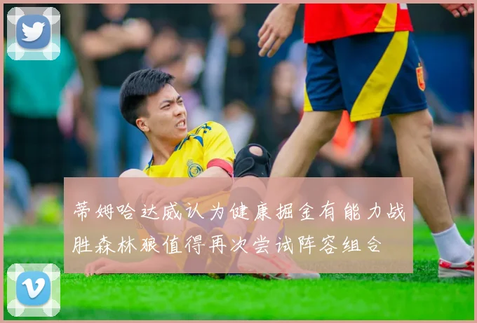 蒂姆哈达威认为健康掘金有能力战胜森林狼值得再次尝试阵容组合
